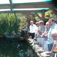 Open Pond Day – August
