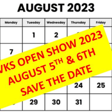 Open Show 2023 – Save the Date